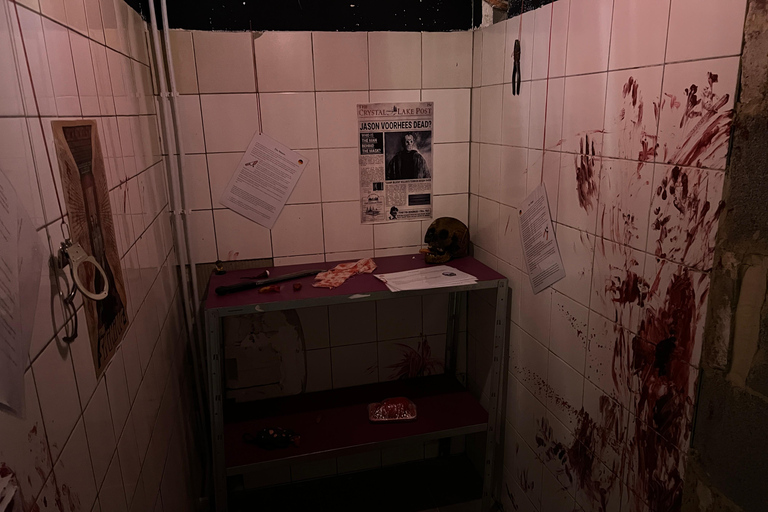 The Museum of Pain and Love: Ticket for a visit The Museum of Pain and Love: ticket for a visit