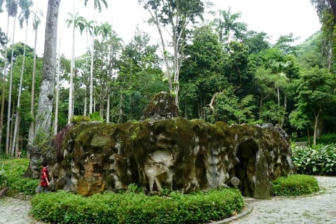 Guided Tour of the Botanical Garden & Lage Park in the Heart of Rio