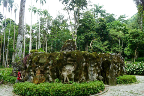 Tour guidato del Giardino Botanico e del Parco Lage nel cuore di Rio