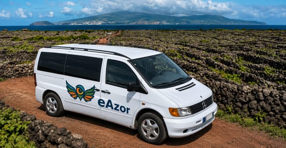 Pico: UNESCO Vineyard Landscape & Wine Heritage Tour