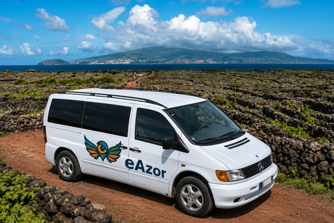 Pico: UNESCO Vineyard & Wine Tour (all-inclusive)
