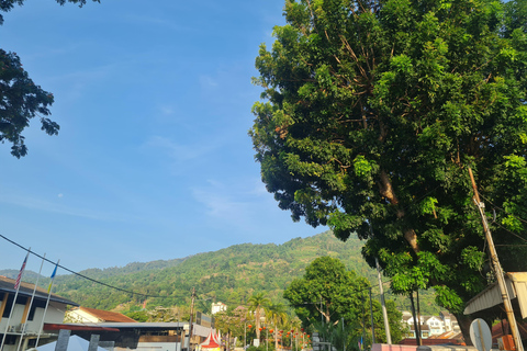 Penang: Around The Island Private Guided Tour