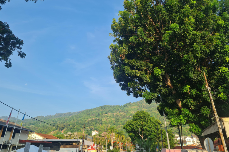 Penang: Around The Island Private Guided Tour
