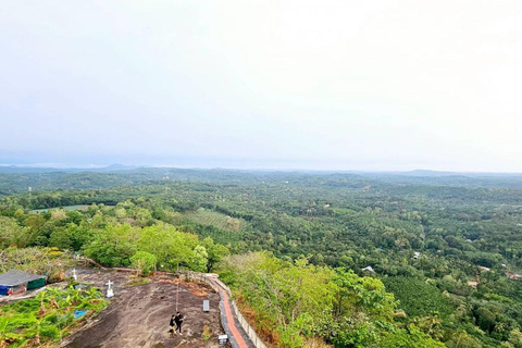Kochi: Höhlen, Wasserfälle und Aussichtspunkt – TagestourTagestour in der Natur von Kochi: Höhlen, Wasserfälle und Aussichtspunkt