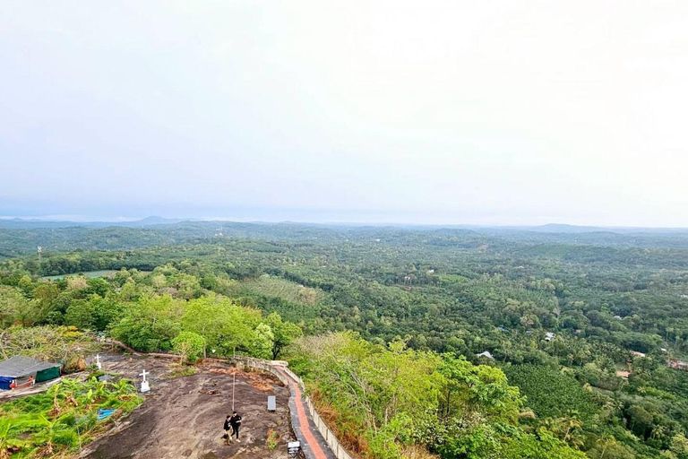 Kochi: Höhlen, Wasserfälle und Aussichtspunkt – TagestourTagestour in der Natur von Kochi: Höhlen, Wasserfälle und Aussichtspunkt