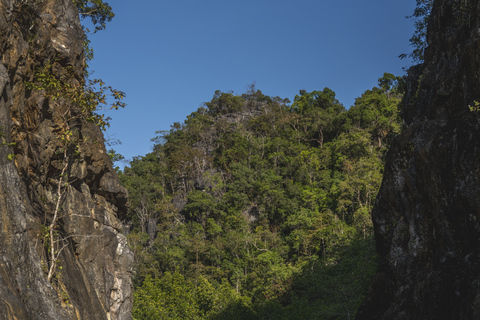 Langkawi: Sharing Mangrove Boat Tour 2 Hours