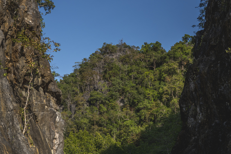 Langkawi: Sharing Mangrove Boat Tour 2 Hours