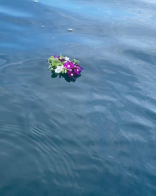 Oak Bay Full Moon Paddle Experience GetYourGuide