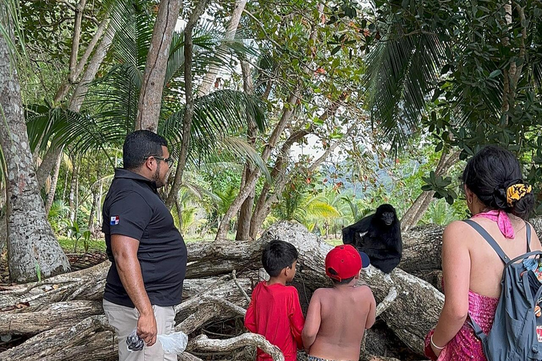 Panama City: 5-Stop Caribbean Boat Day Trip & Isla Mamey
