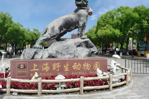 Shanghai Wildlife Park Panda & Predator Feeding Tour