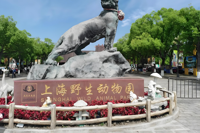 Shanghai Wildlife Park Panda & Predator Feeding Tour