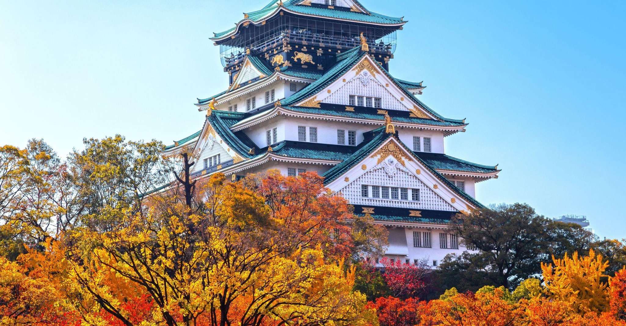 Osaka: Roll and Authentic Sushi Making Class in Dotonbori photo 14