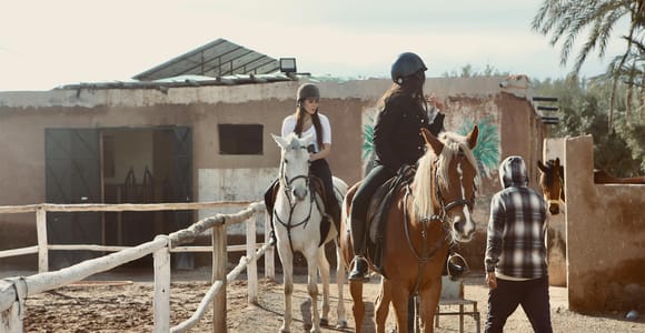 Marrakech : balade à cheval dans la palmeraie avec thé et transfert