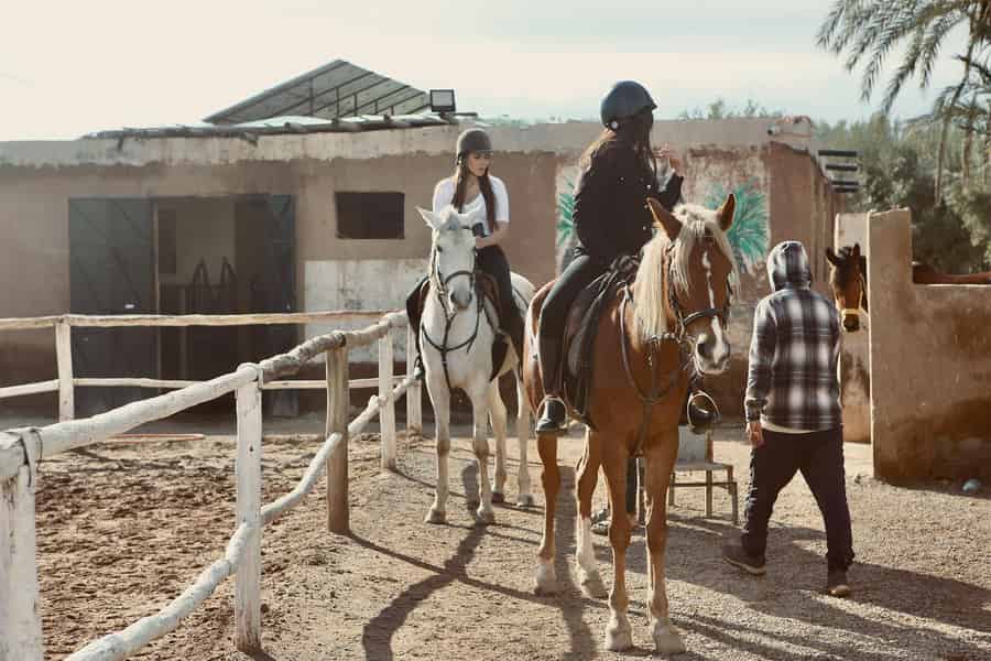 Marrakesch: Ausritt in der Palmeraie mit Tee & Transfer. Foto: GetYourGuide