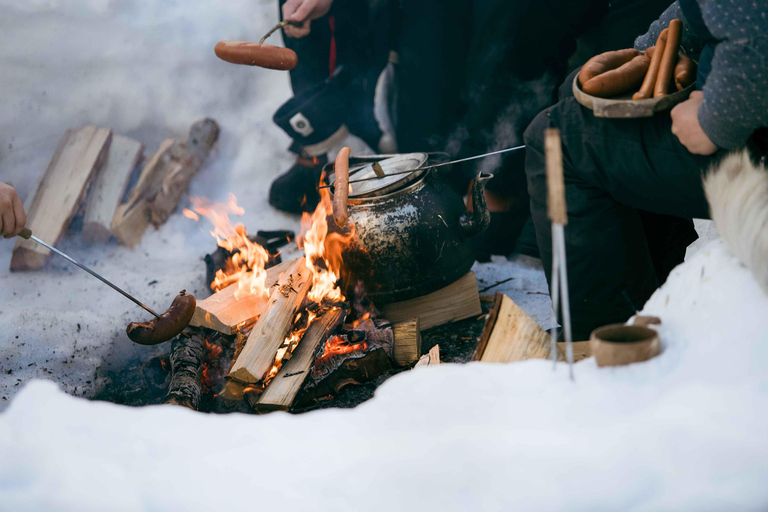 Från Tromsö: Snöskovandring dagtid &amp; besök i snöpark