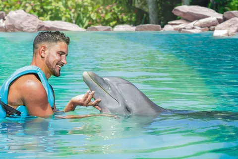 CANCÚN: Experiencia Dolphin Beyond con comida y bebidas