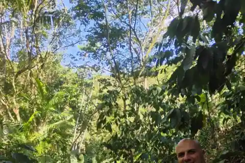 Fortaleza: Mountain Tour and Coffee Route