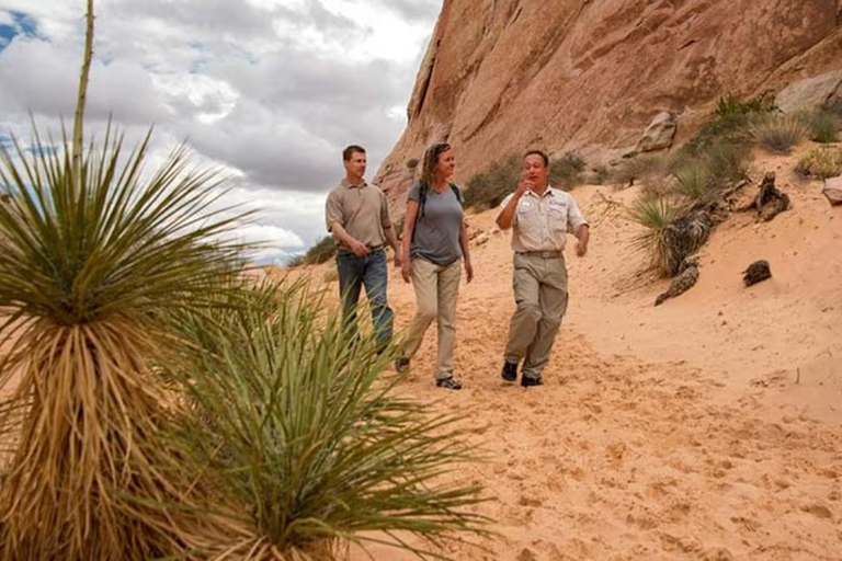 Las Vegas: Hoover Dam and Valley of Fire Combo Tour