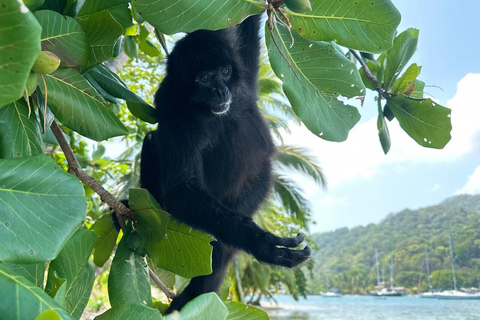 Panama City: 5-Stop Caribbean Boat Day Trip & Isla Mamey