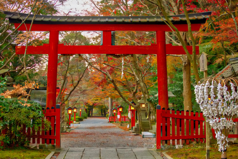 Kyoto: Hidden Gems Private Tour with Hotel Pickup Kyoto: Hidden Gems Private Tour. 7-12 Pax
