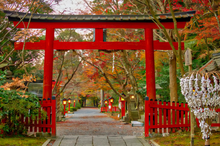 Kyoto: Hidden Gems Private Tour with Hotel Pickup Kyoto: Hidden Gems Private Tour. 7-12 Pax