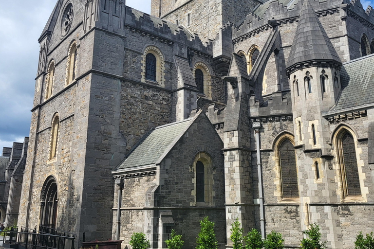 Dublin: Walking Food Tour with local chef, 7 stops or more!