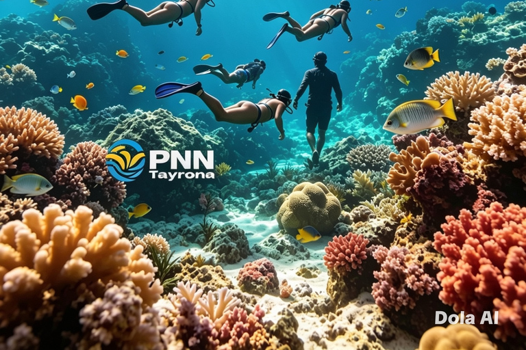 From Santa Marta: Free Diving in Tayrona National Park Free Diving in Tayrona National Park