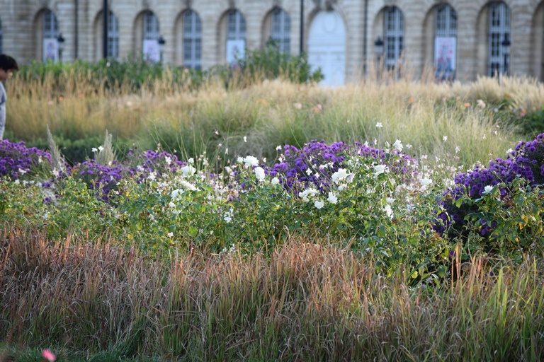 Bordeaux : see the whole city by bike