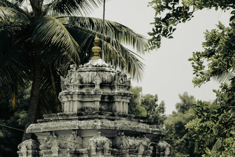 Colombo Religious Harmony Tour: Four Religions Four Cultures