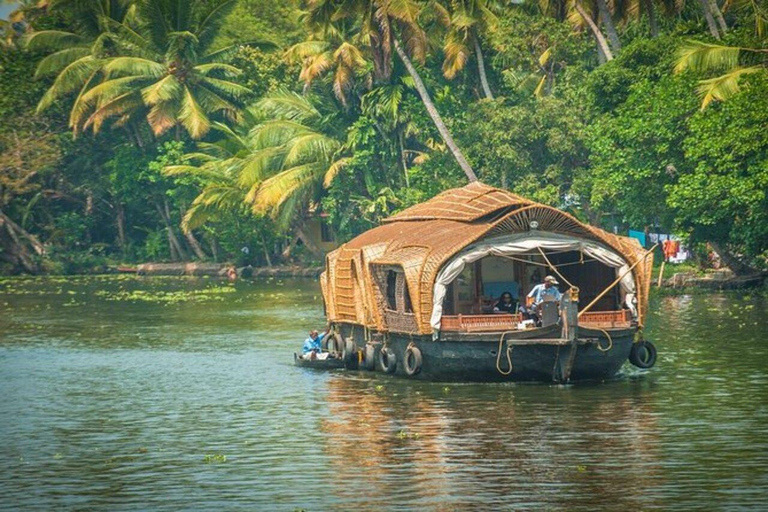 Luxury Backwater Cruise – One-Day Private Tour from Kochi