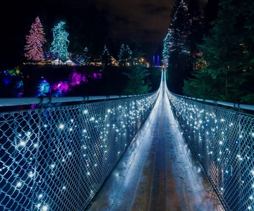 Vancouver and Capilano Suspension Bridge Canyon Lights