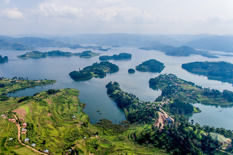 3-daagse gorillatrekking en Batwa-paden in Bwindi