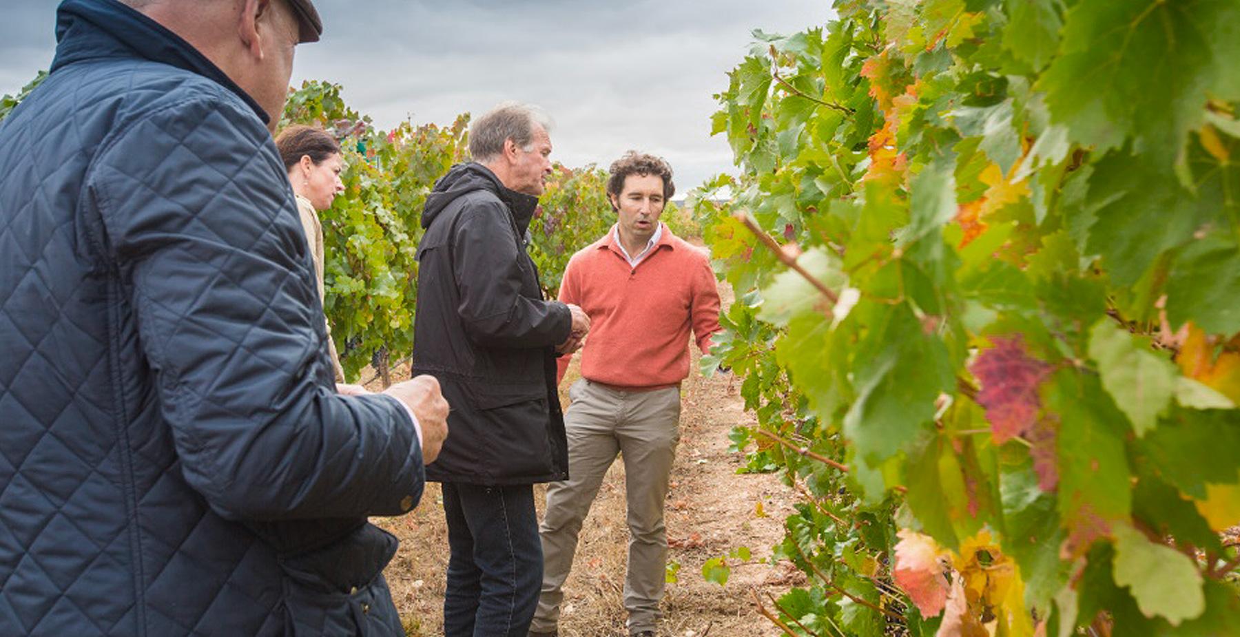 Aranda de Duero: Weingut Martín Berdugo - Besuch und Verkostung