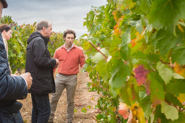 Aranda de Duero: Martín Berdugo vingård - besök och provsmakning