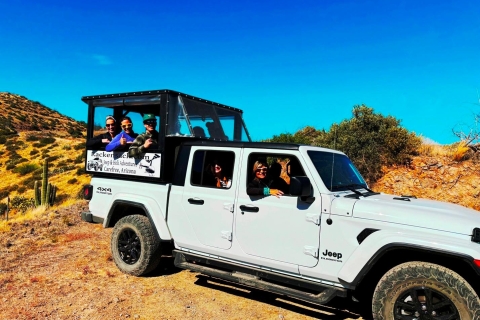 Scottsdale: Sonoran Desert to MountainTop Jeep Tour