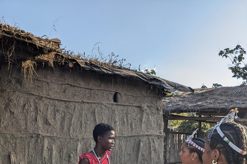 Day Trip: Materuni Waterfalls, Coffee, Springs & Maasai