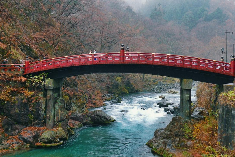 Tóquio: Viagem de 1 dia privada a Nikko com templos e natureza