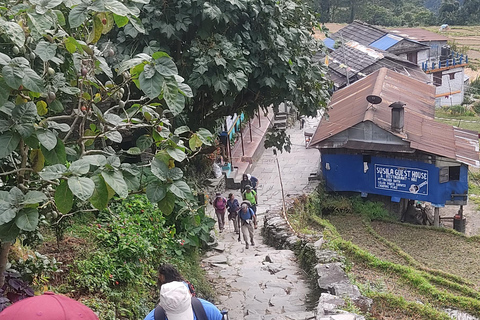 Annapurna Base Camp Trekking - Nepal