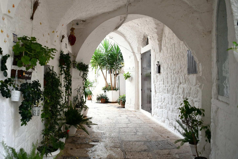 Puglia: Locorotondo, Cisternino, and Ostuni Private Tour Authentic Routes with Castellana Grotte Pick-Up