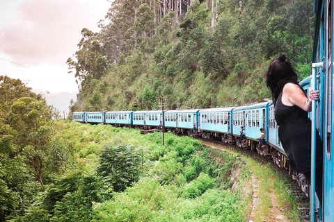 Entdecke den Charme von Ella: Tuk Tuk Transfer zur Nine Arch Bridge