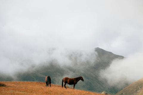 Quito: Full-Day Cotopaxi Horseback Tour & Volcano Views