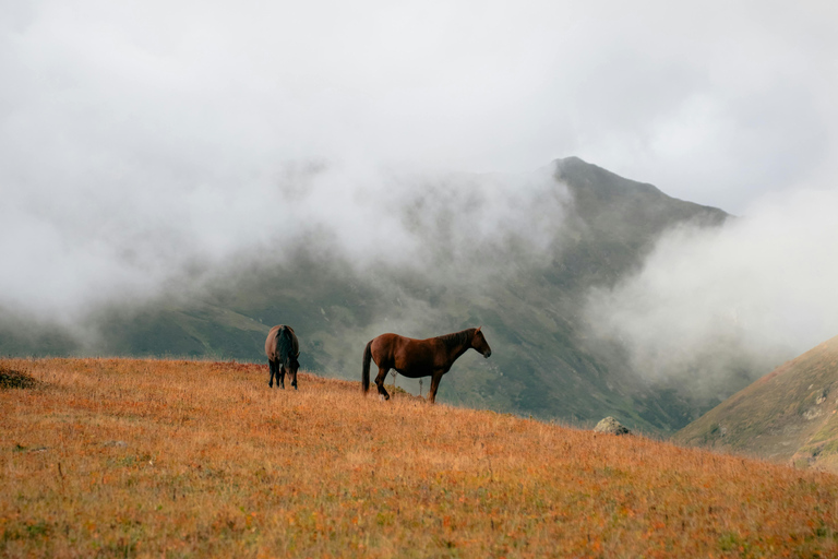 Quito: Full-Day Cotopaxi Horseback Tour & Volcano Views