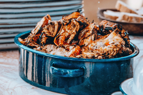 Walvis Bay: Marine Cruise with Beach Lunch