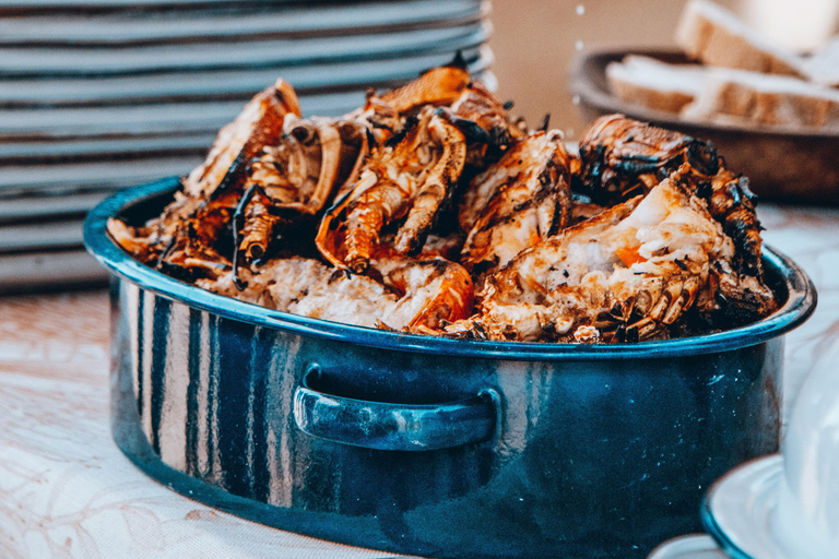 Walvis Bay: Marine Cruise with Beach Lunch