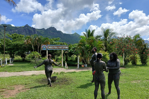 NADI: wycieczka po wykwintnym ogrodzie storczyków z gorącym źródłem i basenem błotnymOdbiór z InterContinental Fiji/Yatule Resort