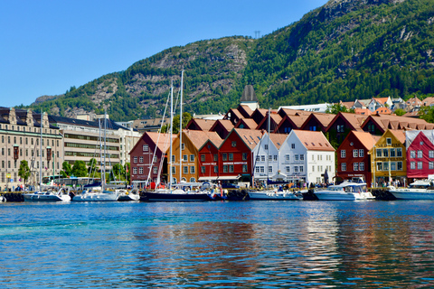 From Oslo: 2-Day Self-Guided Bergen & Flåm Railway Tour