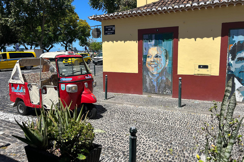 Madeira: Botanical Gardens + Old Town Tuk-Tuk Tour by MadTuk
