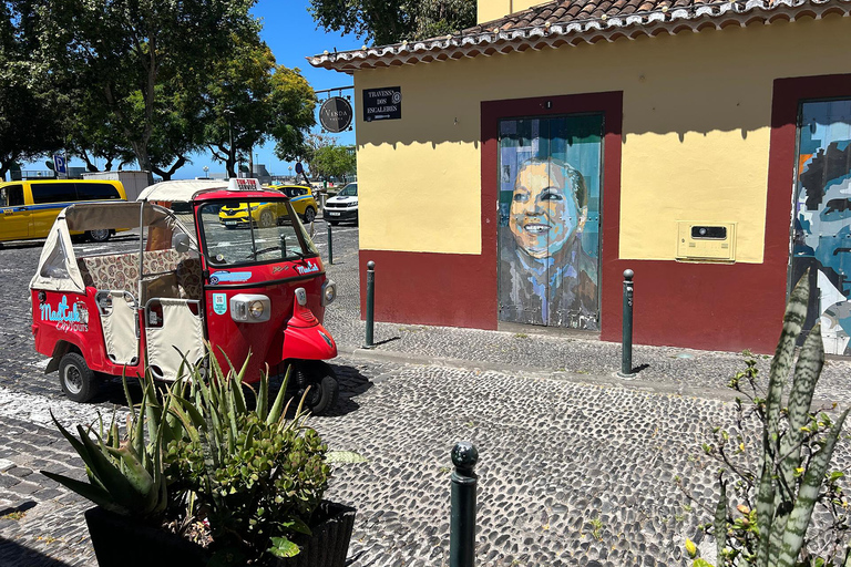 Madeira: Botanical Gardens + Old Town Tuk-Tuk Tour by MadTuk