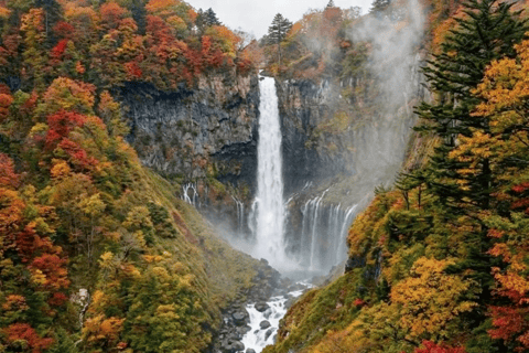 Tokyo: Nikko Craft, Forest Local Food Private Day Experience