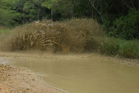 7 Wasserfälle Damajagua und Dünenbuggy